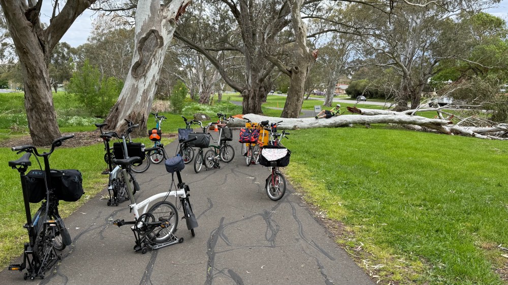 November 2025 Social Ride – Silver Brewing&nbsp;Co